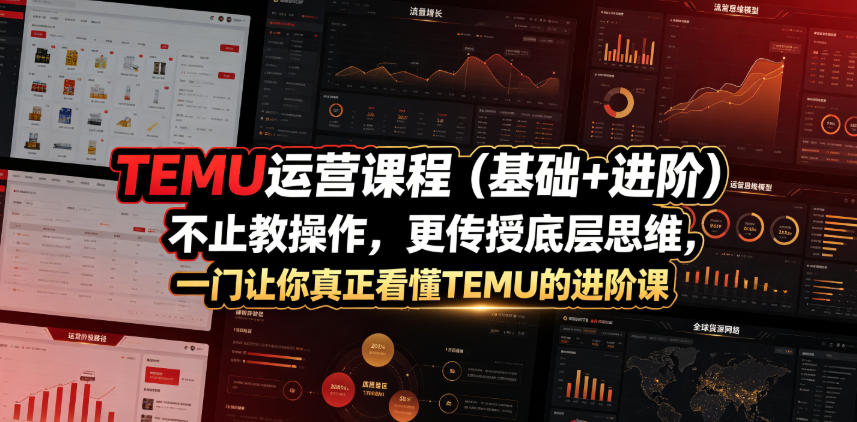 TEMU运营课程(基础+进阶)，不止教操作，更传授底层思维，一门让你真正看懂TEMU的进阶课-大表哥网创