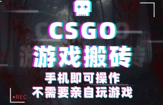 CSGO游戏挂G捡漏，单日扫货5张+，年底小高峰上车可吃肉，手机即可操作，兼职副业创业网创【揭秘】-大表哥网创