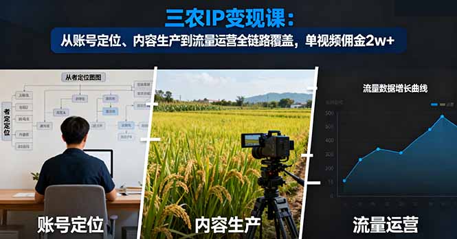 三农IP变现课：从账号定位、内容生产到流量运营全链路覆盖，单视频佣金2w+-大表哥网创