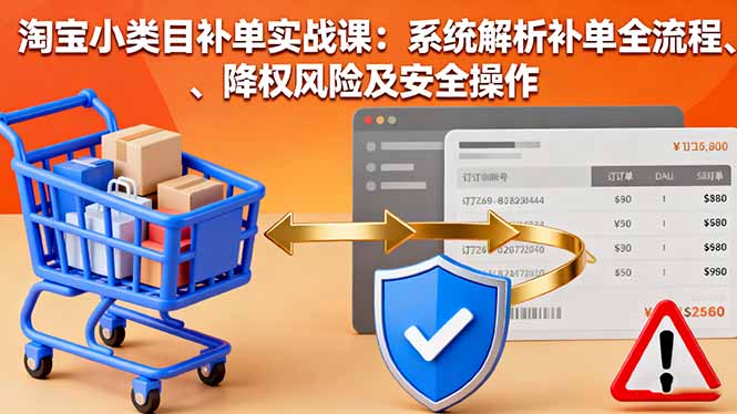 淘宝小类目补单实战课：系统解析补单全流程、降权风险及安全操作-大表哥网创