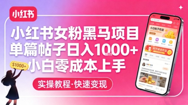 小红书女粉黑马项目，单篇帖子日入1k+，小白零成本上手-大表哥网创