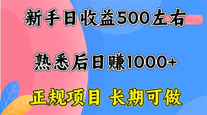 新手日收益500+ 正规项目 长期可做-大表哥网创