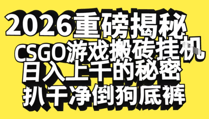 2026开年重磅解密，CSGO游戏搬砖挂G日入1k+的秘密，把倒狗的底裤扒干【揭秘】-大表哥网创