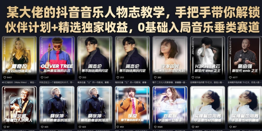 某大佬的抖音音乐人物志教学，手把手带你解锁伙伴计划+精选独家收益，0基础入局音乐垂类赛道-大表哥网创