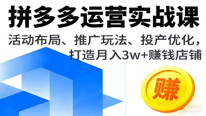 拼多多运营实战课，活动布局、推广玩法、投产优化，打造月入3w+赚钱店铺-大表哥网创