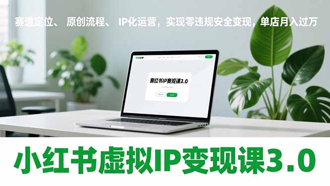 小红书虚拟IP变现课3.0，赛道定位、原创流程、IP化运营，实现零违规安全变现，单店月入过万-大表哥网创
