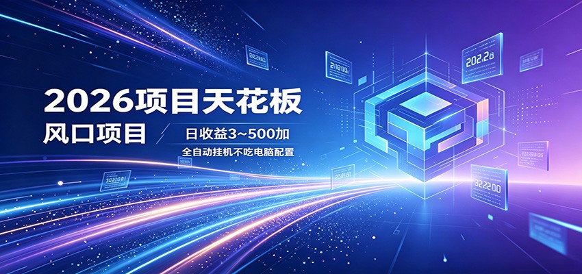 2026项目天花板，风口项目，日收益3~500+全自动挂机，不吃配置-大表哥网创