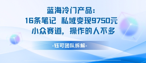蓝海项目：16条笔记私域变现9750米小众赛道操作的人不多-大表哥网创