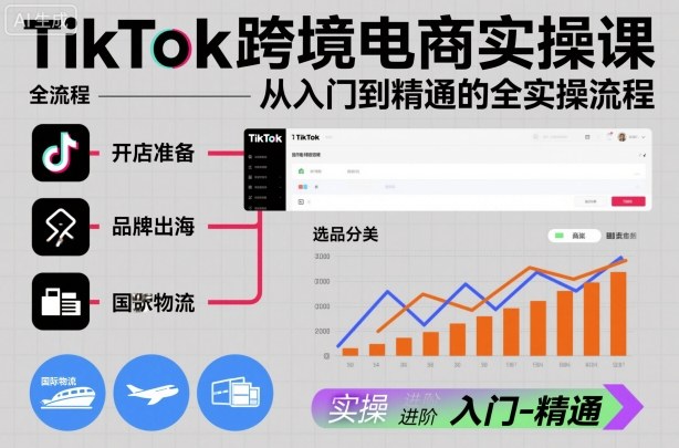 TikTok跨境电商实操课，从入门到精通的全实操流程-大表哥网创