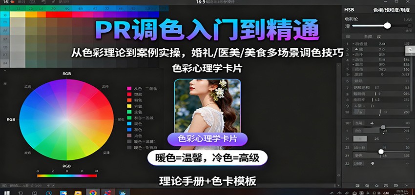 PR调色入门到精通：从色彩理论到案例实操，婚礼/医美/美食多场景调色技巧-大表哥网创