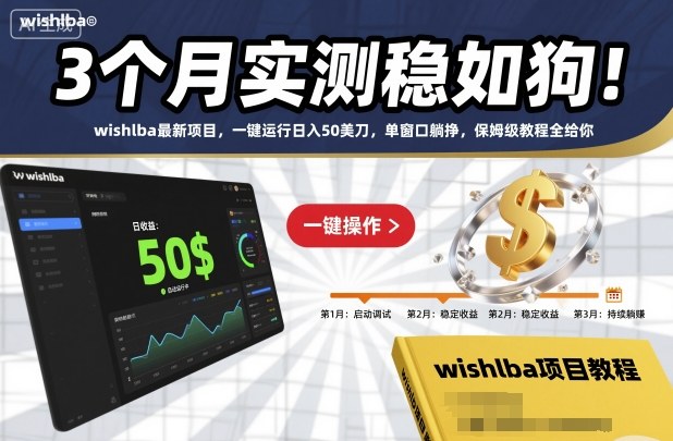 3个月实测稳如狗！wishlba最新项目，一键运行日入50美刀，单窗口躺挣，保姆级教程全给你【揭秘】-大表哥网创