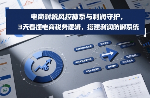 电商财税风控体系与利润守护，3天看懂电商税务逻辑，搭建利润防御系统-大表哥网创