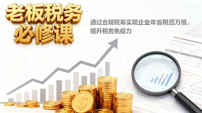 老板税务必修课，通过合规税筹实现企业年省税百万级，提升税务免疫力-大表哥网创