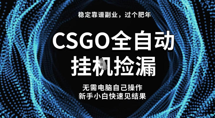 【稳定副业】全球最热门游戏CSGO全自动捡漏，最新玩法，新手小白日入5张+【揭秘】-大表哥网创