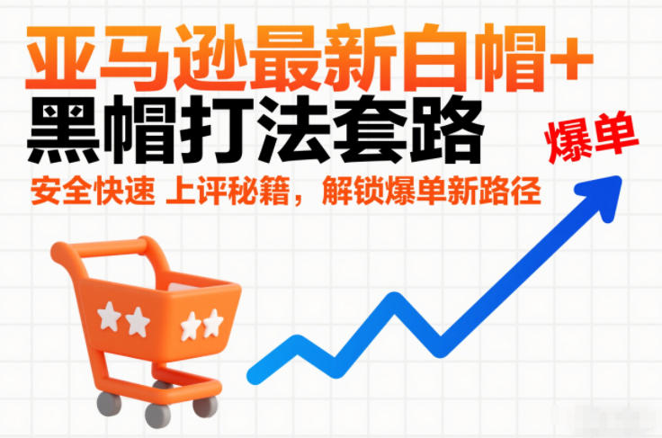亚马逊最新白帽+黑帽打法套路，安全快速上评秘籍，解锁爆单新路径-大表哥网创