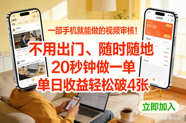 一部手机就能做的视频审核！不用出门，随时随地，20秒钟做一单，单日收益轻松破4张【揭秘】-大表哥网创
