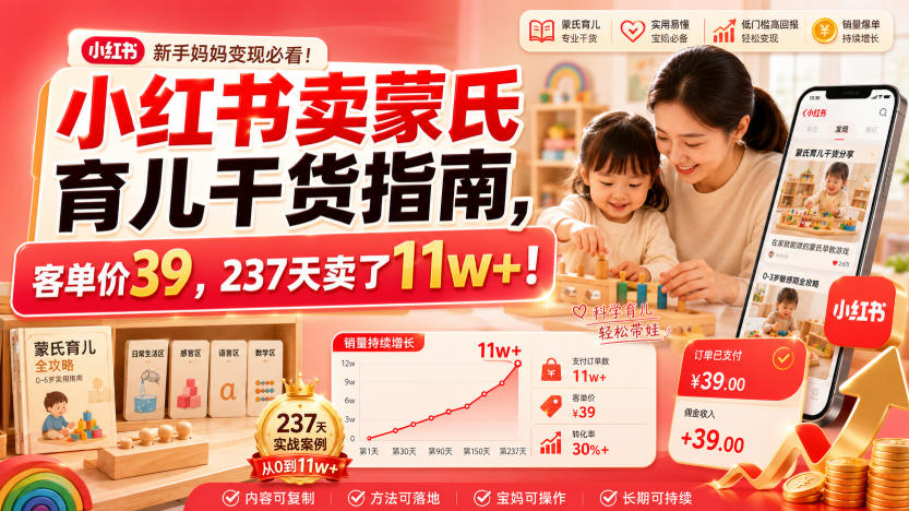 小红书卖蒙氏育儿干货指南，客单价39，237天卖了11w+！-大表哥网创