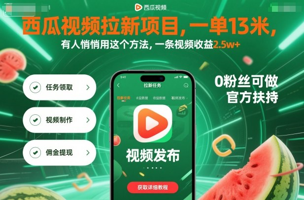 西瓜视频拉新项目，一单13米，有人悄悄用这个方法，一条视频收益2.5w+(附详细教程)-大表哥网创