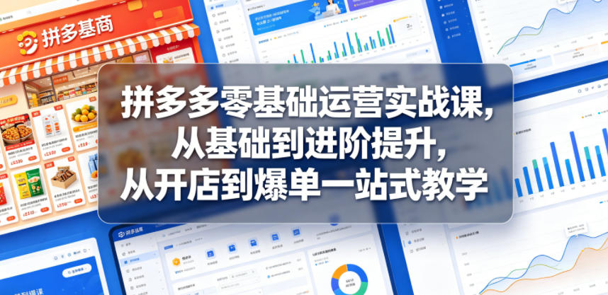 拼多多零基础运营实战课，从基础到进阶提升，从开店到爆单一站式教学-大表哥网创
