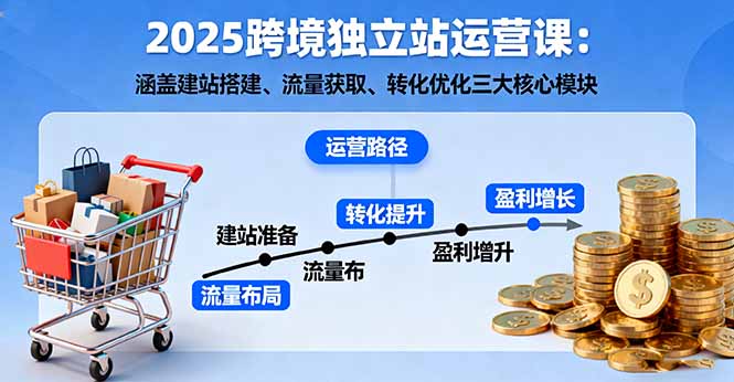 2025跨境独立站运营课：涵盖建站搭建、流量获取、转化优化三大核心模块-大表哥网创