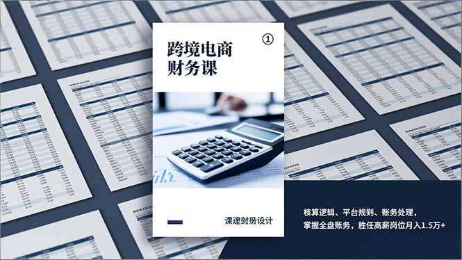 跨境电商财务课，核算逻辑、平台规则、账务处理，掌握全盘账务，胜任高薪岗位月入1.5万+-大表哥网创