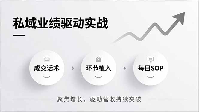私域业绩驱动实战，成交话术、环节植入、每日SOP，聚焦增长，驱动营收持续突破-大表哥网创