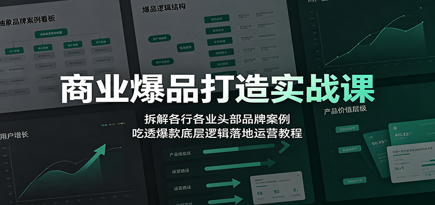 商业爆品打造实战课：拆解各行各业头部品牌案例，吃透爆款底层逻辑落地运营教程-大表哥网创