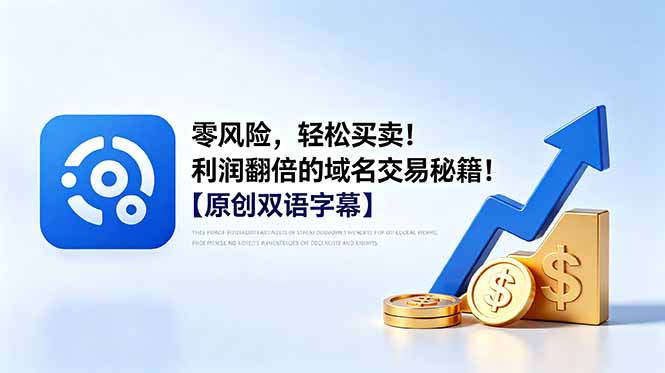 零风险，轻松买卖！利润翻倍的域名交易秘籍！【原创双语字幕】-大表哥网创
