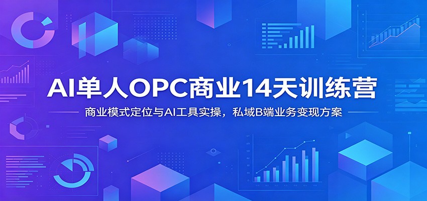 AI单人OPC商业14天训练营：商业模式定位与AI工具实操，私域B端业务变现方案-大表哥网创