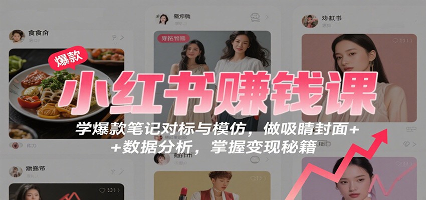 小红书赚钱课：学爆款笔记对标与模仿，做吸睛封面 + 数据分析，掌握变现秘籍-大表哥网创