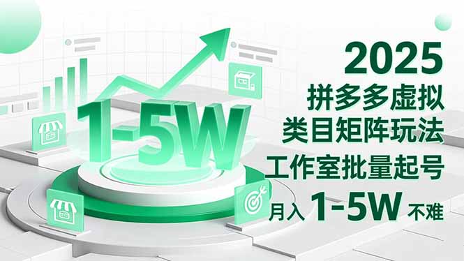 2025 拼多多虚拟类目矩阵玩法，工作室批量起号，月入 1-5W 不难-大表哥网创