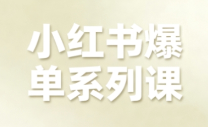 小红书爆单系列课，聚焦小红书电商全链路增长(更新)-大表哥网创