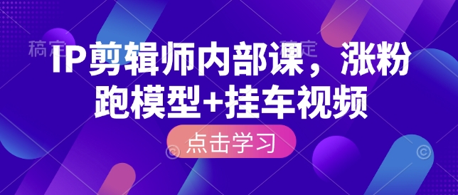 IP剪辑师内部课，涨粉跑模型+挂车视频(更新)-大表哥网创