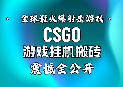 【年底大揭秘】基于全球最火爆的射击CSGO游戏挂G搬砖，日入5张+，震撼公开-大表哥网创