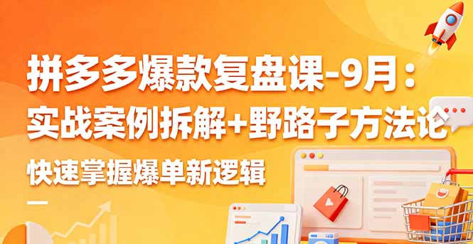 拼多多爆款复盘课-9月：实战案例拆解+野路子方法论，快速掌握爆单新逻辑-大表哥网创