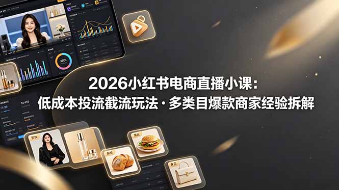 2026小红书电商直播小课，低成本投流截流玩法，多类目爆款商家经验完整拆解教学-大表哥网创