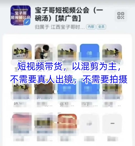宝子哥头部团队短视频带货，以混剪为主，不需要真人出镜，不需要拍摄【更新12月】-大表哥网创