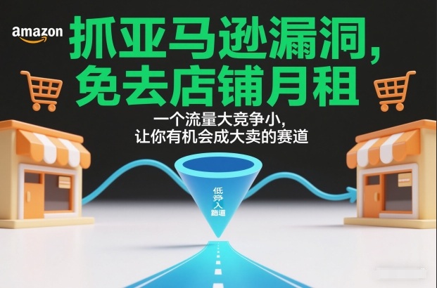 抓亚马逊漏洞，免去店铺月租，一个流量大竞争小，让你有机会成大卖的赛道-大表哥网创