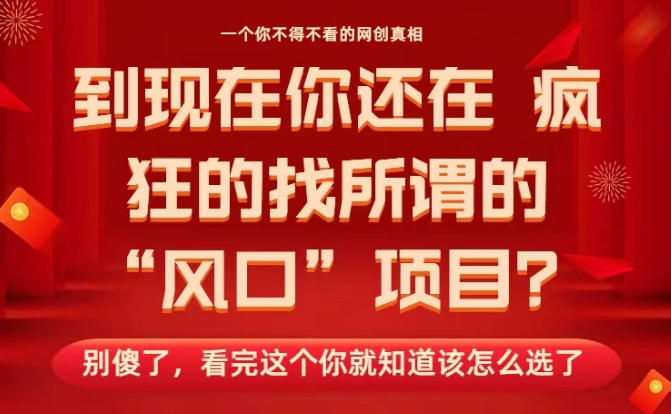 马上26年了，你还在找所谓的风口项目？别傻了，看完这个你全都懂了！【揭秘】-大表哥网创