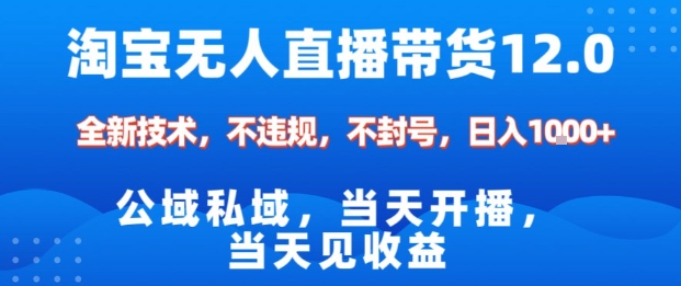 淘宝无人直播12.0，公域私域技术，不封号，不违规布局双十一流量风口，日入1k(独家技术)【揭秘】-大表哥网创