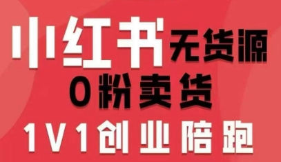 小红书无货源0粉电商课，开店准备、选品策略、笔记撰写、视频剪辑、数据分析、账号打造、资料文档(更新26年3月)-大表哥网创