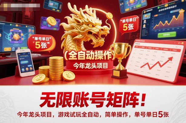 无限账号矩阵！今年龙头项目，游戏试玩全自动，简单操作，单号单日5张【揭秘】-大表哥网创