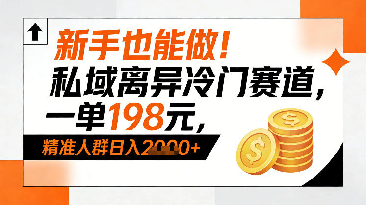 新手也能做！私域离异冷门赛道，一单198，精准人群日入1k+-大表哥网创
