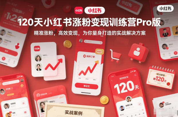 120天小红书涨粉变现训练营Pro版，精准涨粉，高效变现，为你量身打造的实战解决方案-大表哥网创